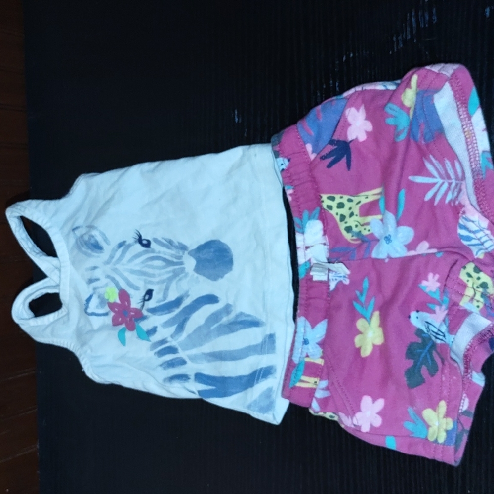 Carter's Summer matching set